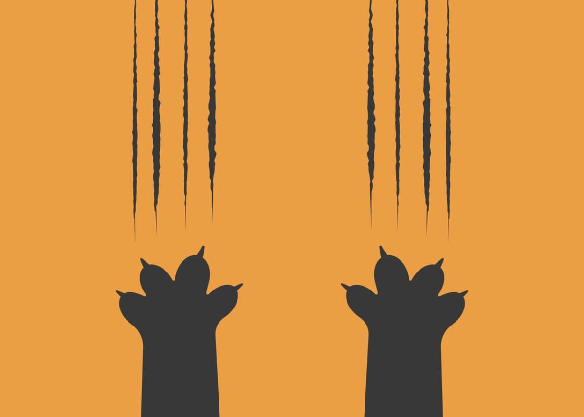 Paws on a yellow background
