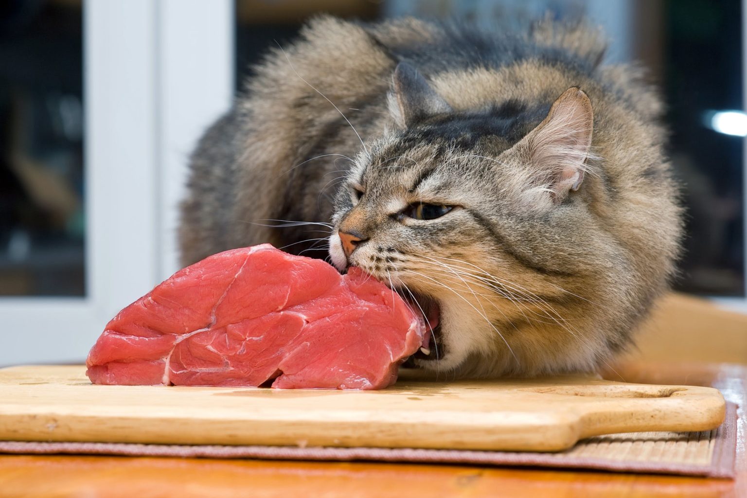 A cat trying to eat meat on the kitchen counter