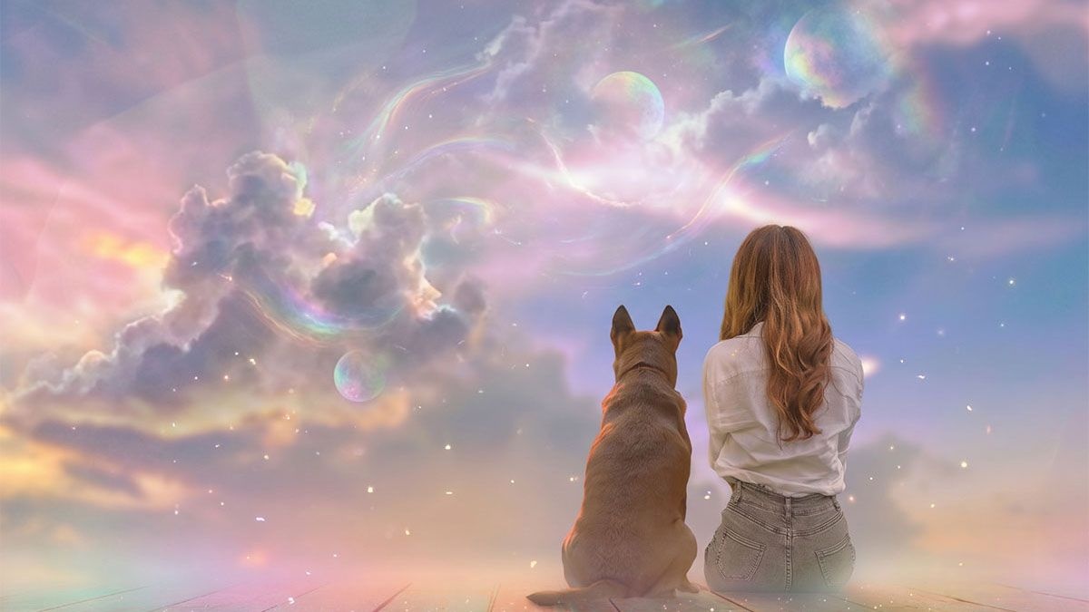 Illustration: Woman and dog sitting side by side with their backs turned