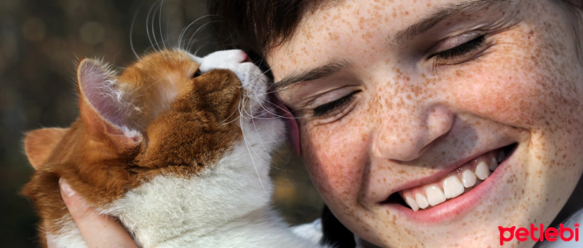 Why Do Cats Lick Hair?