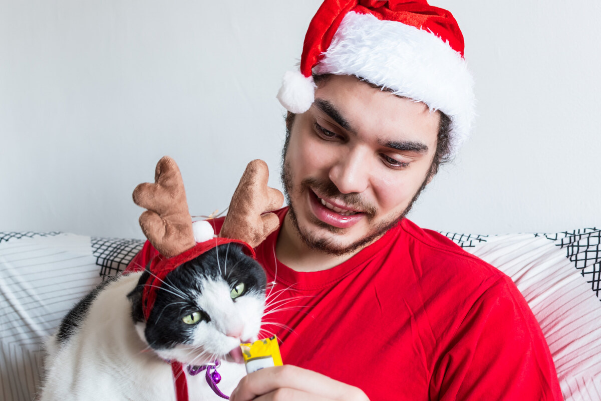 Cat eating cream treats from its owner's hand