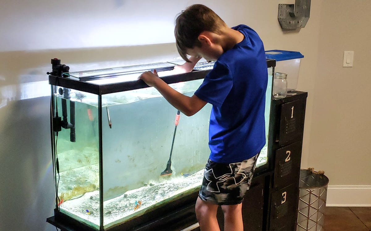 Child cleaning the aquarium