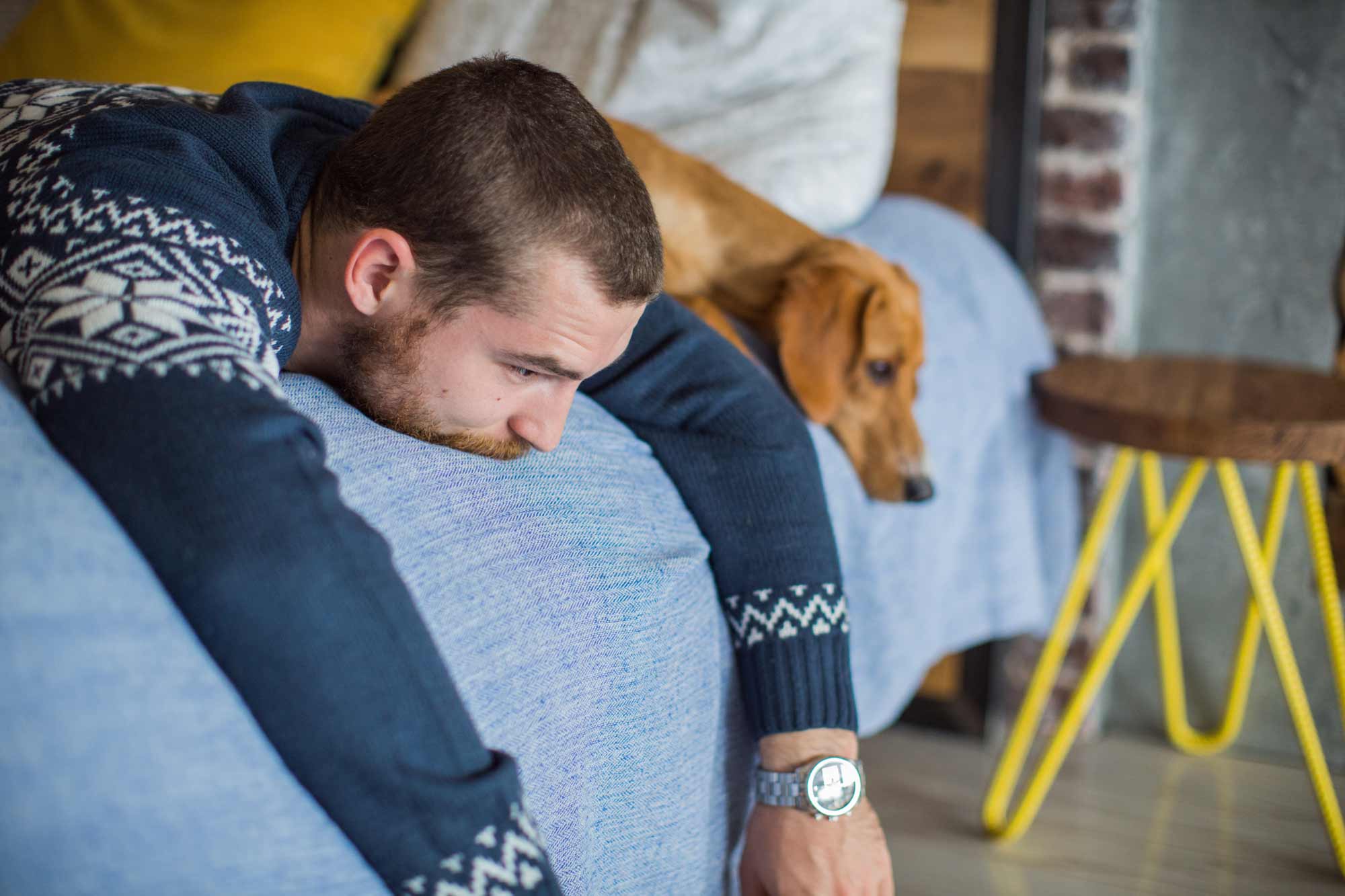 Swimming in bed with its owner Dog Lying on the Bed