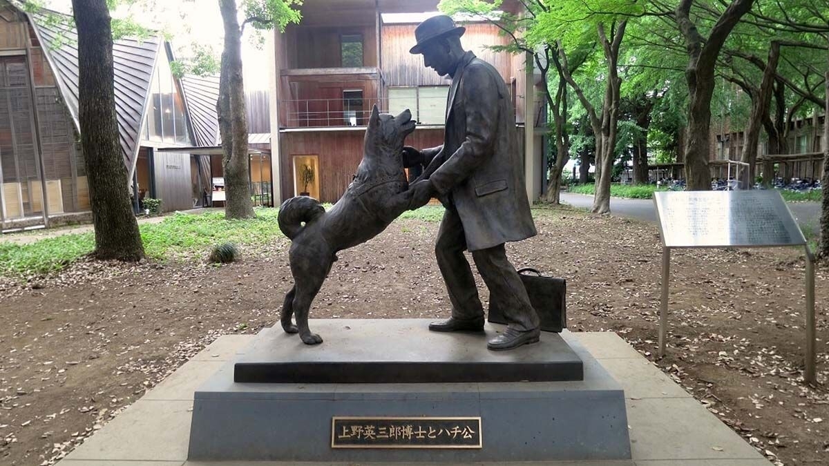 Hachiko: The True Story and Monument of the Dog Symbolizing Loyalty