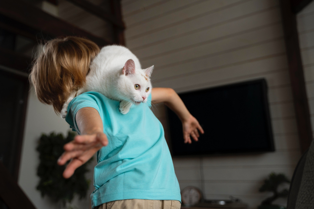 White-furred cat preparing to jump off its owner's back