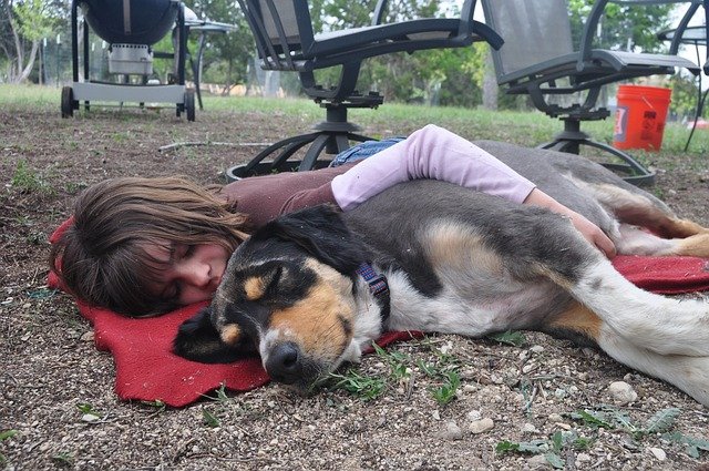A girl sleeping in the garden with a dog