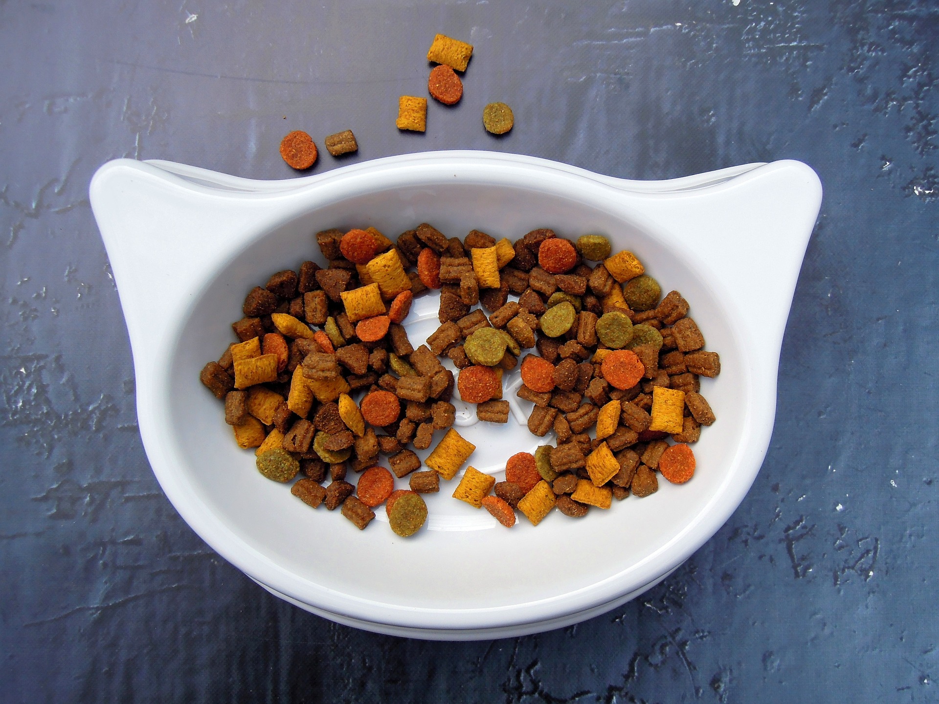 Colorful dry food in a white food bowl
