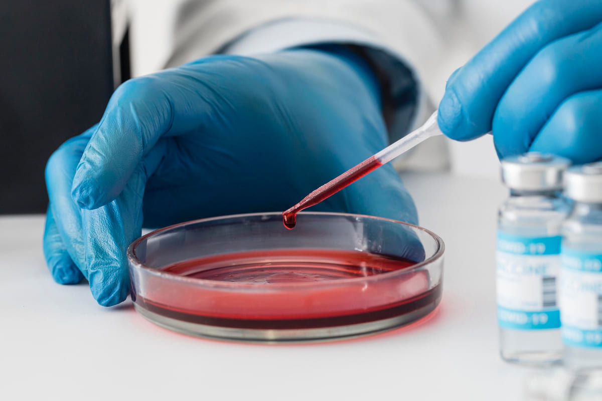 Expert preparing blood for testing