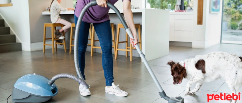 Cleaning Tips for Homes with Pets