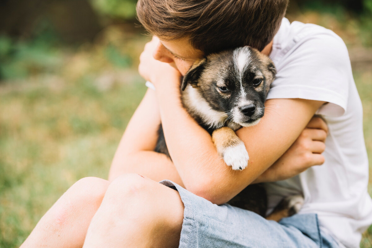 Puppy being hugged by a child