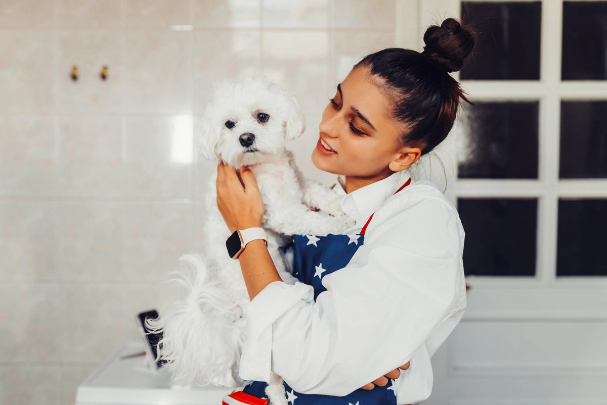 Maltese Terrier happily sitting on its owner's lap