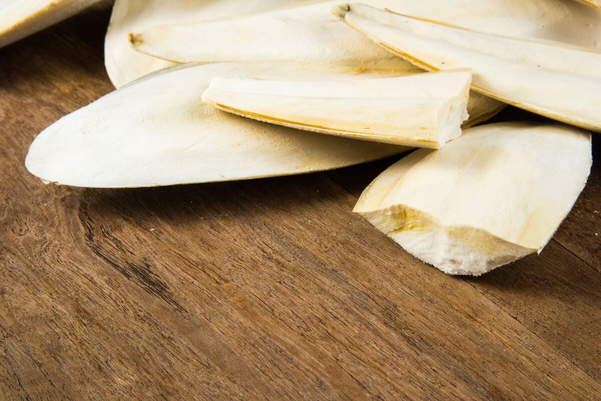 Cutfish bone for birds