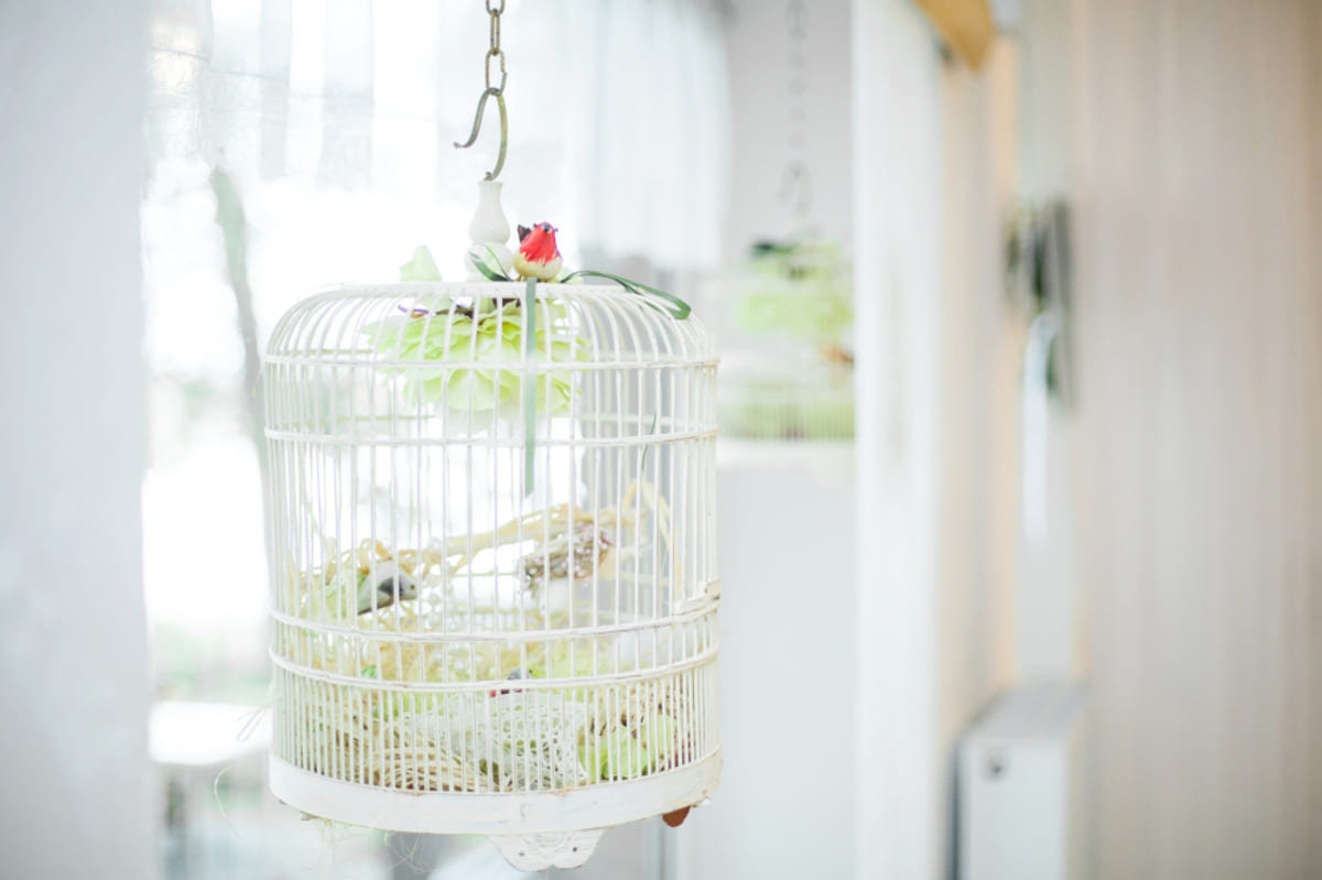 White bird cage