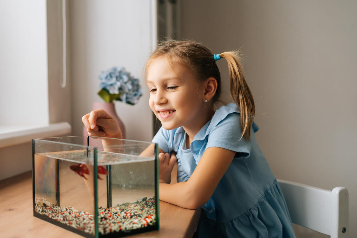 A little girl watching fish in an aquarium