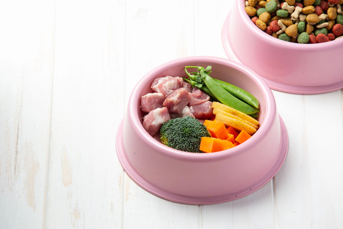 A food bowl filled with raw meat and vegetables, and another food bowl with dry food