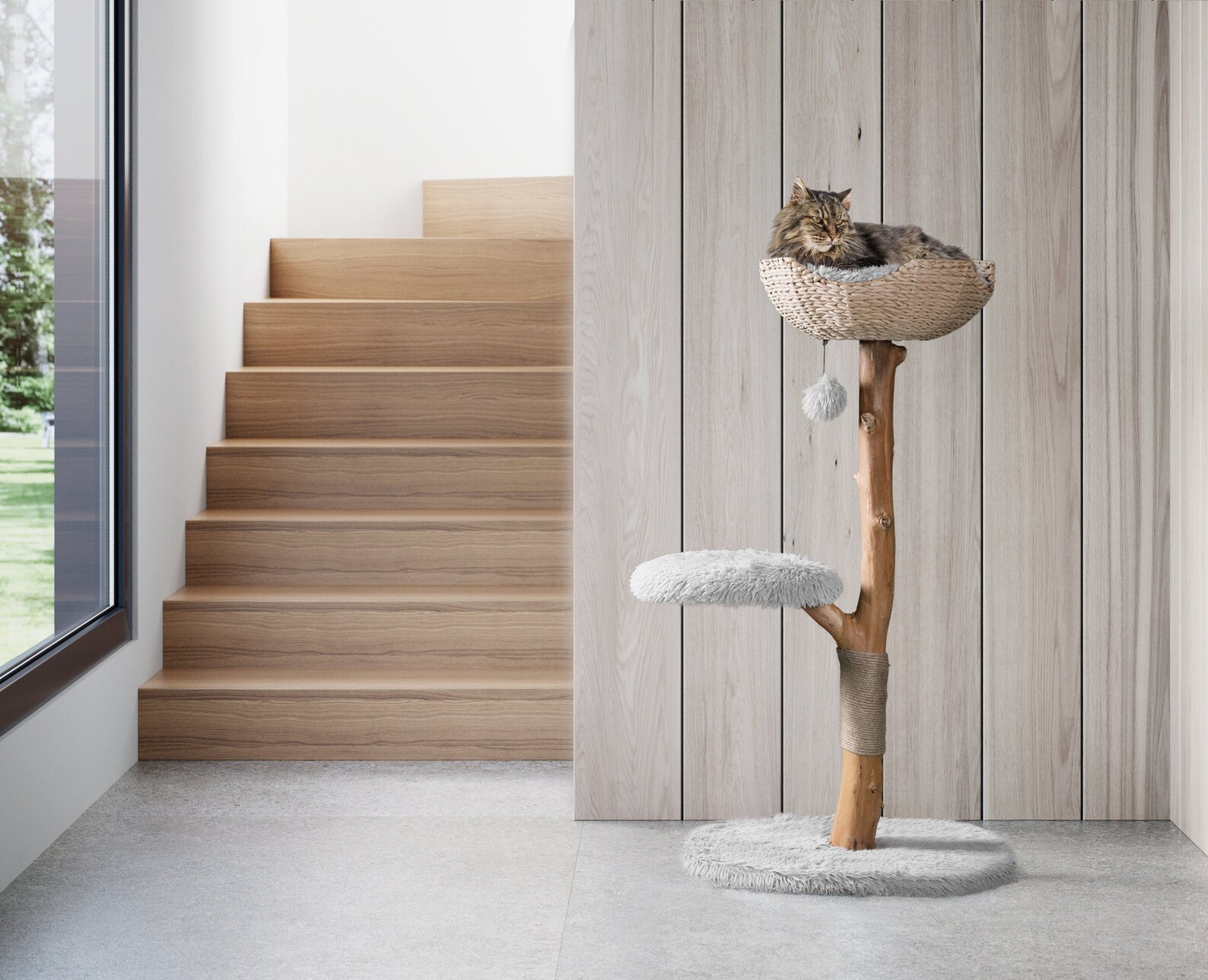 Cat sitting on a cat tree