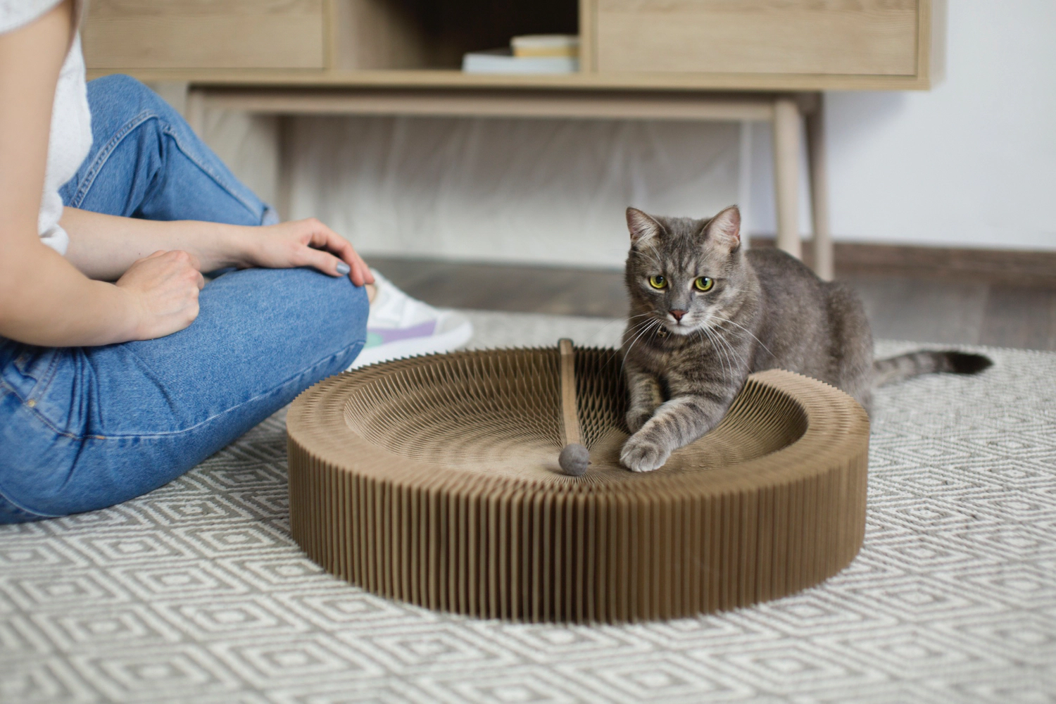 Cat lying on a scratching toy