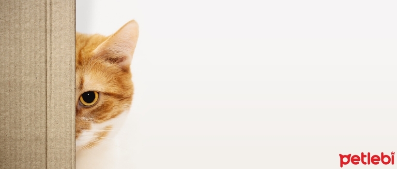 )