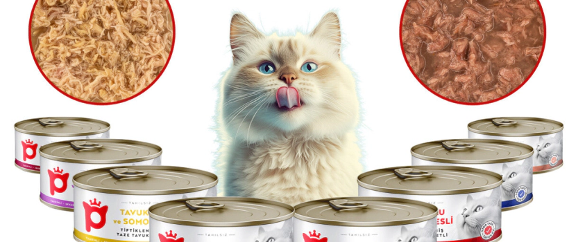Meet Terralora Cat Food in Sauce