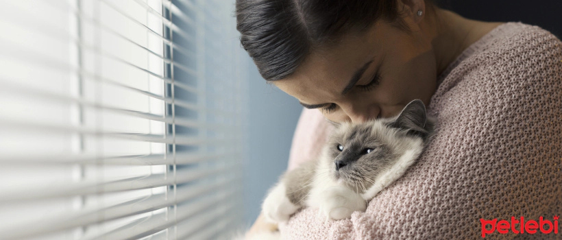 Tips for Living with Blind Cats
