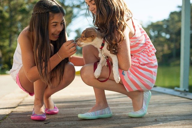 Two girls petting a puppy