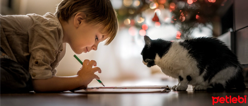 What are the Benefits of Keeping a Cat at Home for Children?