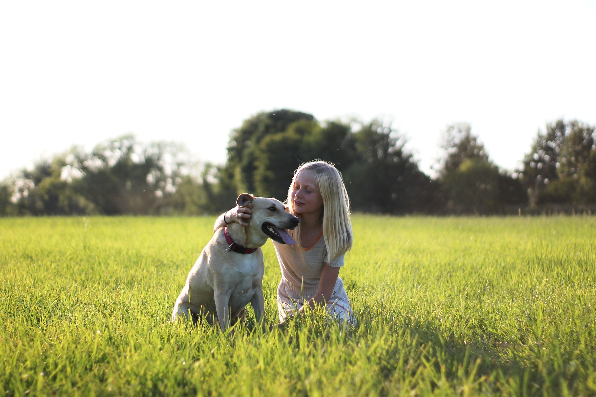Blonde girl and dog sitting on the grass
