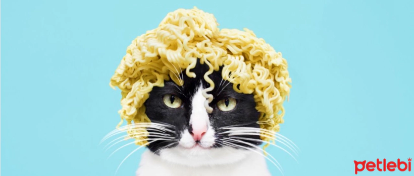 Can cats eat pasta?