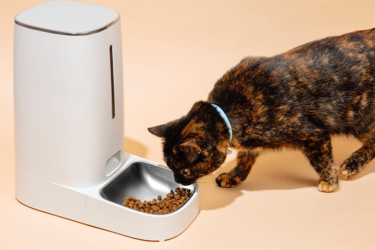 Cat eating from an automatic food dispenser