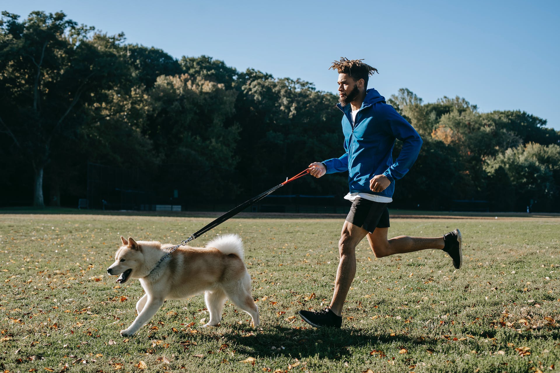 Dog running with its owner