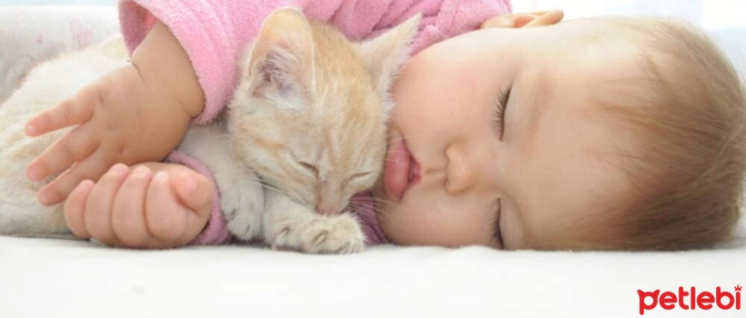 Do Cats Get Jealous of Babies?