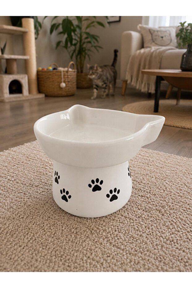 Elevated Ceramic Pet Bowl – 300 ml, 14.5 cm